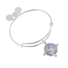 Alex and Ani AA817824SS:Rose Garden EWB