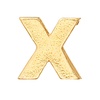 Alex and Ani Initial X Gold Slider Charm, Create Your Own, Initial X Charm, 14kt Gold Plated, Gold, Charm Size 0.28 inch Width by 0.28 inch Height