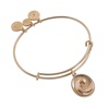 Alex and Ani Roll With the Tides Charm Bangle