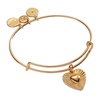 Alex and Ani Heartburst Charm Bangle