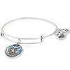 Alex and Ani A18EBB2RG