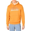 Amazon Essentials Disney | Marvel | Star Wars Men's Sherpa-Lined Pullover Hoodie Sweatshirt