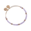 Alex and Ani Crystal and Rondelle Beaded EWB