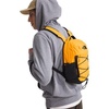 Borealis Mini 10L Backpack
