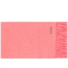 Acne Studios Canada Skinny New Scarf