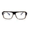 Al0952 Glasses