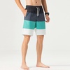 Mens Swim Shorts Beach Trunks Boardshorts Volley Shorts Quick Dry