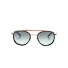 AKS501 D Sunglasses