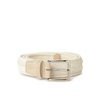 Woven Fabric Belt with Silver Buckle