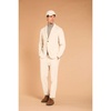 Velvet Striped Blazer Regular Fit