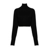 Wool Knit Turtleneck Sweater