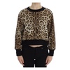 Elegant Leopard Print Short Sweater Top