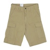 Casual Shorts
