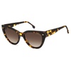 Brown Shaded Sunglasses