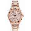Gold Stainless Steel Watch