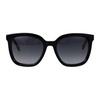 Stylish Sunglasses HER 0225/G/S