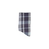 Turquoise Plaid Style Scarf