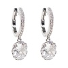 Hoop earrings with crystals
