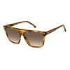Flat Top Sunglasses Brown Horn