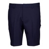 Dark Blue Shorts V1.y8.01