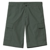Cargo Shorts with Zip and Flap Pockets