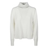 Cozy Knit Turtle Neck Sweater