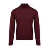 Bordeaux Turtleneck for Men