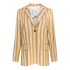 Striped Blazer Multicolore