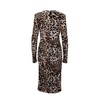 Animal Print Long Sleeve Midi Dress