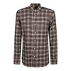 Brown/Beige Neck Shirt