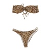 Animal Print Bikini Set
