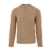 Light Brown Sweater for Men