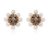 Shimmering Earrings