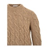 Light Brown Sweater for Men