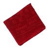 Red Print Scarf All Seasons