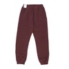 Plush Jogger Tracksuit Pants Burgundy Crush