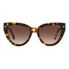Brown Shaded Sunglasses