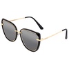 rylee polarized sunglasses