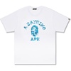 radiation camo college tee mens