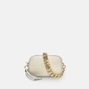 the mini tassel stone leather phone bag with gold chain strap