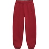 Polyester Pants