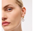 - Double Hoop Earrings - Ash Double Two Tone