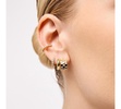 - Huggie Hoop Earrings - Suzanne
