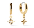 Star Hoop Earrings - Oshi