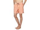 All Day Overdye Layback Volley Boardshort