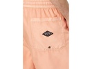 All Day Overdye Layback Volley Boardshort