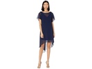 Chiffon Overlay Sheath Dress
