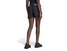 Truepace Running Shorts II3238