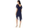 Chiffon Overlay Sheath Dress