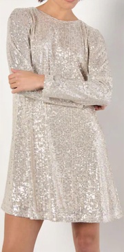 sequin a line flare dress in silver